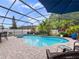 Screened-in pool area with lush tropical landscaping, a built-in hot tub, and outdoor seating perfect for relaxation at 826 Jade Forest Ave, Orlando, FL 32828