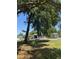 View of the home's backyard with mature trees and a glimpse of the covered patio at 9400 Se 119Th St, Belleview, FL 34420