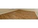 Wood look flooring in room with base trim at 11547 Grazeley Ct, Orlando, FL 32837