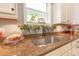 Kitchen sink area with plants and decor at 12636 Hammock Pointe Cir, Clermont, FL 34711