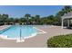 Resort-style swimming pool surrounded by palm trees and lush landscaping, ideal for relaxation at 14262 Tanja King Blvd, Orlando, FL 32828