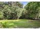 A spacious and lush backyard with mature trees at 368 E Chelsea St, Deland, FL 32724