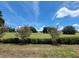 Expansive backyard with manicured lawn, shrubs, and shade trees under a bright blue sky at 603 Sanctuary Golf Pl, Apopka, FL 32712