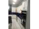 Modern kitchen boasts white cabinetry, black marble countertops, and stainless steel appliances at 2300 Painter Ln, Kissimmee, FL 34741