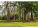 A peaceful picnic area featuring a table and BBQ grill nestled among tall trees and lush greenery at 50989 Highway 27 # 371, Davenport, FL 33897