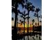 A scenic sunset with silhouette of waterfront trees and reflections in the water at 76 Oakdale St, Windermere, FL 34786