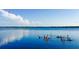 Blue waters of the community lake with people paddle boarding and kayaking under blue skies at 76 Oakdale St, Windermere, FL 34786