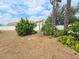 Backyard featuring mature trees, lush green foliage, and privacy fencing at 10235 Summer Elm Ave, Clermont, FL 34711