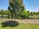 Backyard view featuring a scenic pond, lush green grass, and mature trees, creating a serene outdoor environment at 12822 Moss Park Ridge Dr, Orlando, FL 32832