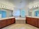 Bathroom features a large soaking tub, dual sinks, and tiled floors at 12822 Moss Park Ridge Dr, Orlando, FL 32832