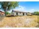 Backyard featuring a patio and expansive lawn at 288 Howard Blvd, Longwood, FL 32750