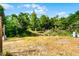Enjoy privacy and nature with a large backyard surrounded by lush greenery and a sense of peaceful seclusion at 288 Howard Blvd, Longwood, FL 32750