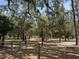Picturesque park with mature trees, Spanish moss, walking paths, and plenty of shade at 326 Woodland Trl, Lady Lake, FL 32159