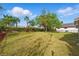 Spacious backyard with lush lawn and privacy landscaping at 11508 Delwick Dr, Windermere, FL 34786