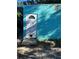 Teal colored structure with a white door, pet door, and shadow of tree leaves at 1231 Leon Ln, Daytona Beach, FL 32117