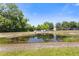 Beautiful pond surrounded by trees and greenery creating a peaceful view at 141 Mitchell Creek Way, Oviedo, FL 32765