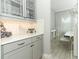 Bright pantry with stylish cabinetry and countertops featuring white backsplash and decor at 15849 Sweet Lemon Way, Winter Garden, FL 34787