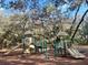 Charming community playground featuring slides and play structures, set beneath beautiful old oak trees at 1724 Cottonwood Creek Pl, Lake Mary, FL 32746