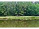 Serene lake view featuring a herd of deer, lush greenery, and reflections of trees in the calm water at 1724 Cottonwood Creek Pl, Lake Mary, FL 32746