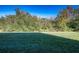 Expansive backyard showcasing lush green lawn and natural surroundings at 207 Black Springs Ln, Winter Garden, FL 34787