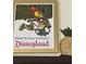 Framed Disneyland Enchanted Tiki Room poster with vibrant colors and pineapple decor at 2348 Silver Palm, Kissimmee, FL 34747