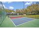 Outdoor pickleball court with vibrant blue and red surfaces, surrounded by a green fence and mature trees at 25057 Riverwalk Dr, Leesburg, FL 34748