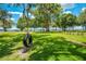 A tire swing hanging from a tree in the backyard, with views of the lake in the distance at 3085 Vest Rd, St Cloud, FL 34772