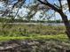 Scenic lake view with lush greenery in the foreground and a clear blue sky at 4328 Aqua Vista Dr # B, Orlando, FL 32839