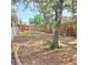 Backyard with a wood fence, some trees, and a grassy area at 513 Rachael Ct, Oviedo, FL 32765