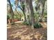 Expansive backyard featuring mature trees, lush greenery, and a fenced perimeter, perfect for outdoor activities at 513 Rachael Ct, Oviedo, FL 32765