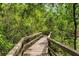 Scenic walking path through a wooded area, perfect for nature walks and enjoying the outdoors at 555 Carey Way, Orlando, FL 32825