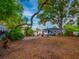 Spacious backyard featuring a home with a light blue door, lush greenery, and mature trees at 1145 Utah Blvd, Orlando, FL 32803