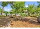 Tranquil backyard with mulch ground cover, mature trees, a white fence, and lush tropical landscaping at 1145 Utah Blvd, Orlando, FL 32803