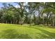 Beautiful backyard showcasing lush green grass and mature trees, providing shade and privacy at 16500 Magnolia Terrace Blvd, Montverde, FL 34756