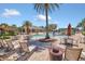 Resort-style pool with ample seating and a large palm tree for shade on a sunny day at 1866 Cassidy Knoll Dr, Kissimmee, FL 34744