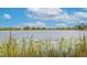 Scenic lake view with lily pads in the foreground and homes in the distance under a blue sky at 2173 Lake Side Ave, Davenport, FL 33837