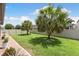 Backyard with green grass and privacy fence featuring two mature palm trees at 3138 Twin Shore Ln, Orlando, FL 32824