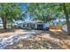 Charming exterior of home with a black brick accent, shade trees, and a driveway at 7507 Duo Lakes Dr, Orlando, FL 32810