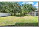 Expansive backyard with lush green lawn and picturesque views of mature trees and privacy fence at 8448 Greenbank Blvd, Windermere, FL 34786