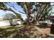 Backyard featuring mature trees that provides ample shade and a serene atmosphere at 8830 Ladrido Ln, Orlando, FL 32836