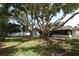 Green backyard with mature trees, partial fence, and lush landscaping at 8830 Ladrido Ln, Orlando, FL 32836