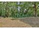Spacious backyard with mature trees, offering privacy and a natural setting at 956 Salt Pond Pl # 207, Altamonte Springs, FL 32714