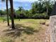 Large grassy backyard with mature trees and plenty of space for outdoor activities at 1420 Lake Shadow Cir # 9207, Maitland, FL 32751
