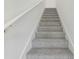 Carpeted stairs with white handrail at 16419 Bird Of Paradise Ave, Clermont, FL 34714