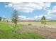 View of the backyard with green grass and some young trees planted at 16430 Bird Of Paradise Ave, Clermont, FL 34714
