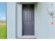 Contemporary front door, siding, and walkway showing the entry point to the home at 16430 Bird Of Paradise Ave, Clermont, FL 34714