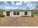 The backyard includes healthy landscaping and is illuminated by natural light at 14066 Sw 60Th Ter, Ocala, FL 34473
