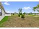 Expansive backyard with lush green grass, perfect for outdoor activities and relaxation at 149 Hickory Course Cir, Ocala, FL 34472