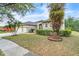 Landscaped front yard of a home with manicured lawn, shrubs, and mature palm trees at 339 Hammock Dunes Pl, Orlando, FL 32828