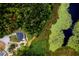 Aerial view of home with a backyard pool, surrounded by lush greenery and a lake at 810 Alex Ln, Deltona, FL 32738
